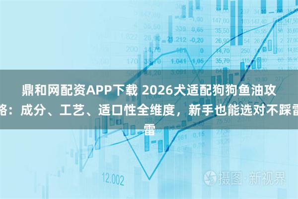 鼎和网配资APP下载 2026犬适配狗狗鱼油攻略：成分、工艺、适口性全维度，新手也能选对不踩雷