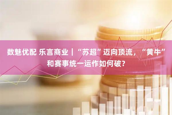 数魅优配 乐言商业｜“苏超”迈向顶流，“黄牛”和赛事统一运作如何破？