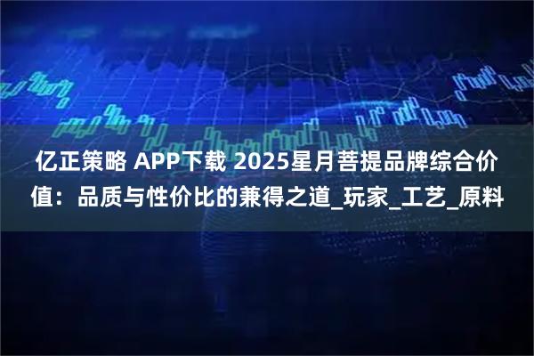 亿正策略 APP下载 2025星月菩提品牌综合价值：品质与性价比的兼得之道_玩家_工艺_原料