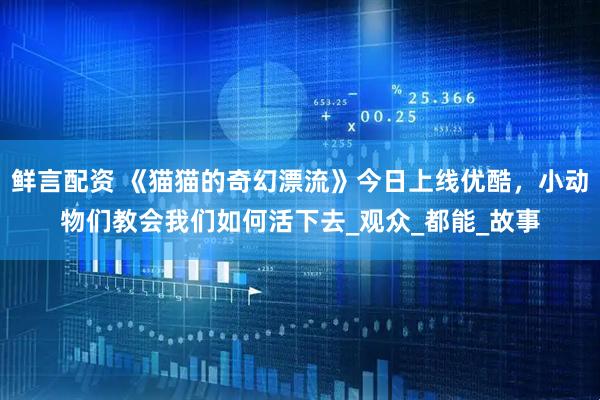 鲜言配资 《猫猫的奇幻漂流》今日上线优酷，小动物们教会我们如何活下去_观众_都能_故事