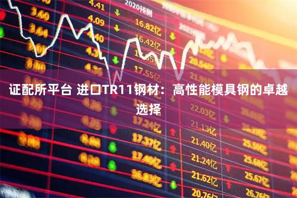 证配所平台 进口TR11钢材：高性能模具钢的卓越选择